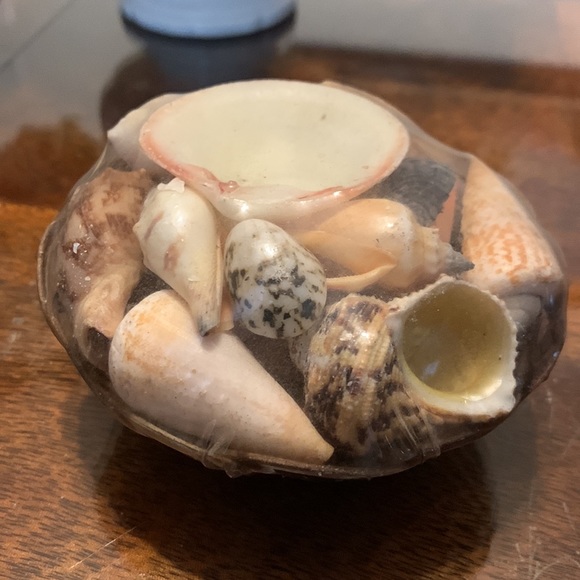 Sea Shell Basket made in  Philippines Assorted Seashells - Picture 2 of 4